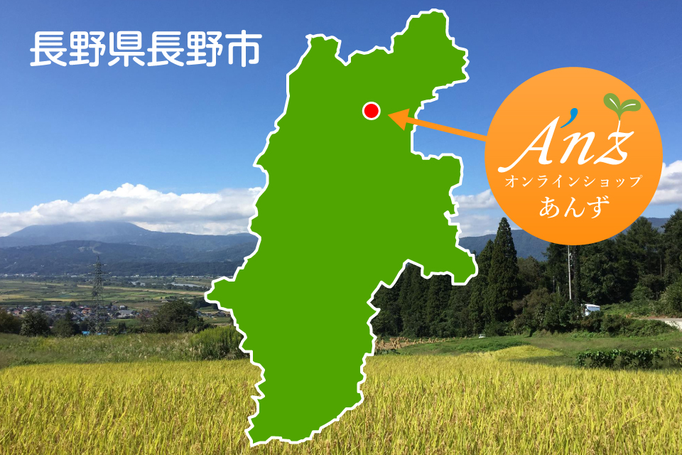 オンラインショップあんずの場所を示す長野県の地図
