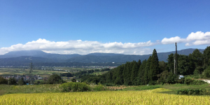 長野県の田園風景