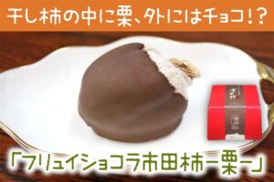 干し柿の中に栗、外にはチョコ！？「フリュイショコラ市田柿-栗-」