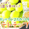 甘じょっぱい不思議な美味しさ「信州シャインマスカット風味ポテトチップス」のアイキャッチ画像